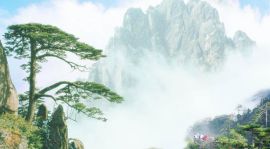 嘉威物流，提供優質的物流和運輸